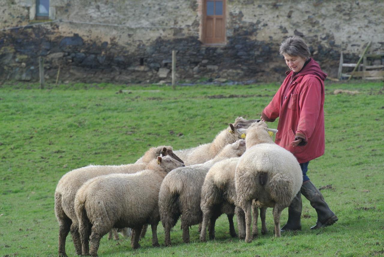 La Gaucherie Aux Dames Vihiers Buitenkant foto